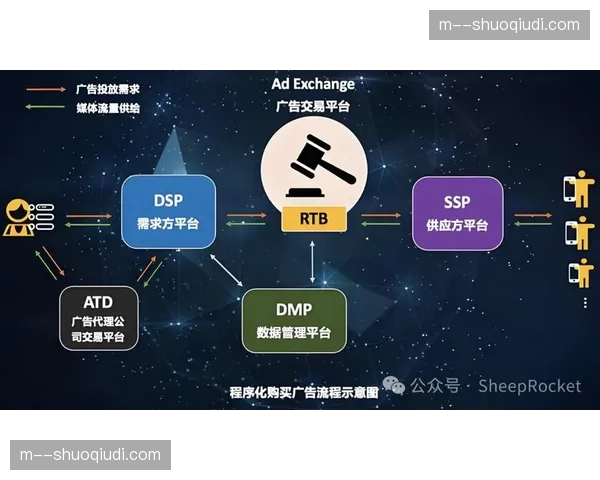 去平台化DTC模式正重构IP分发链路 赛事方直握粉丝终端数据